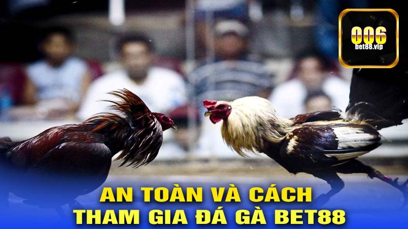 An toàn và cách tham gia ĐÁ GÀ BET88